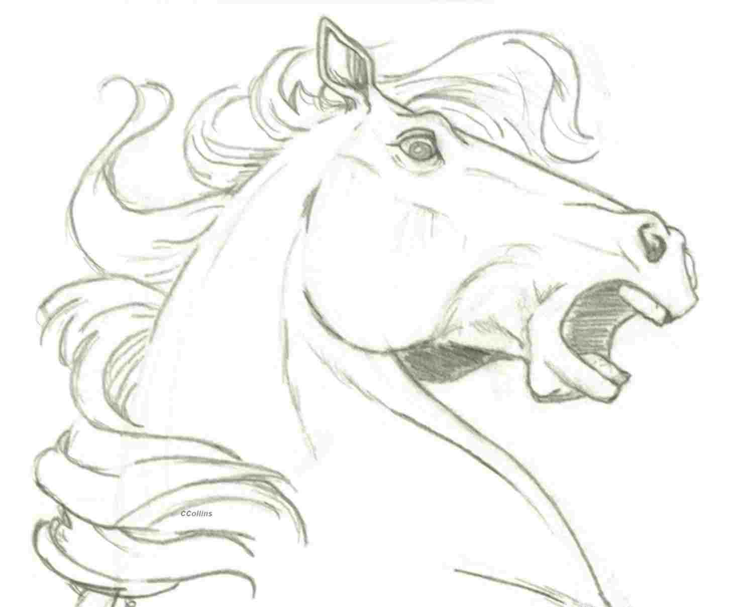 1463x1210 Drawing - Horse Head Drawing Pictures
