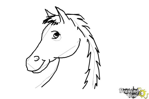 600x400 Horse Head Drawing Easy - Horse Head Drawing Pictures