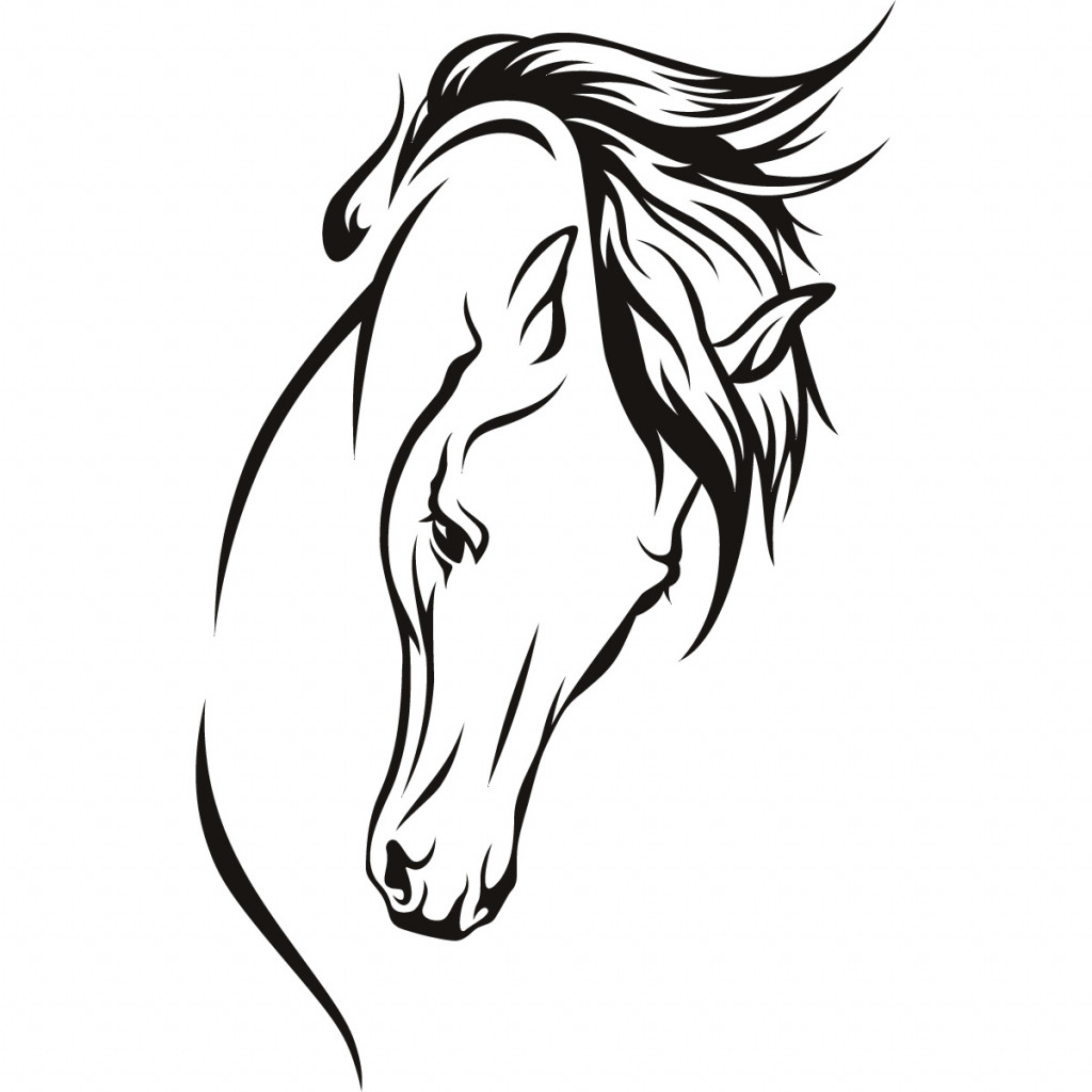 1024x1024 Horse Face Drawing Step - Horse Head Drawing Step By Step