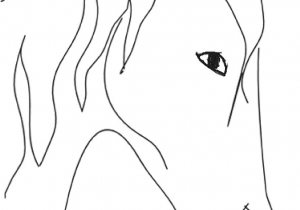 300x210 Horse Head Drawing Step - Horse Head Drawing Step By Step