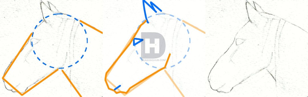 1080x343 How To Draw A Horse Head, Step - Horse Head Drawing Step By Step