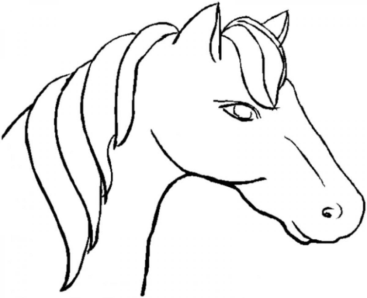 1200x975 Draw Cartoon Horse Head Horse Head Drawing Easy At Getdrawings - Horse Head Drawing Step By Step