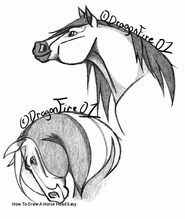 608x718 How To Draw A Horse Head Easy Fanart Draco Spirit Rain Sketch - Horse Head Drawing Step By Step