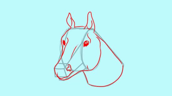 550x309 How To Draw A Horse Head Steps - Horse Head Drawing Step By Step