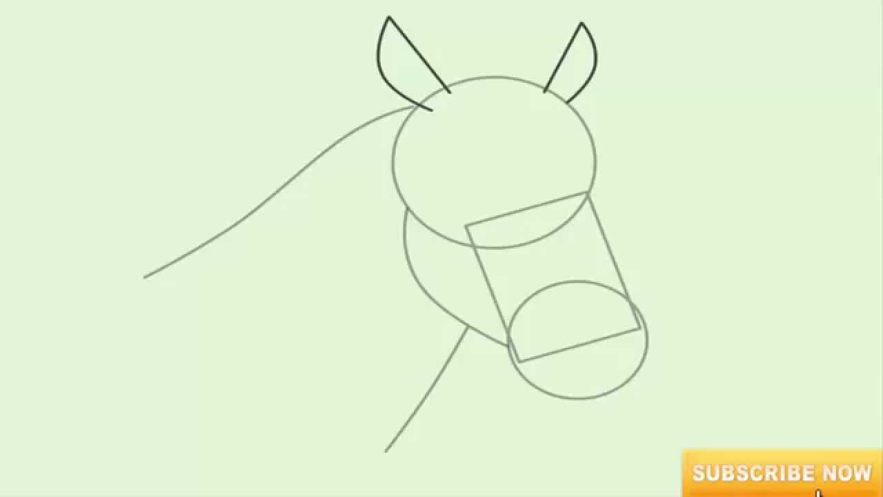 1280x720 How To Draw A Horse Head Step - Horse Head Drawing Step By Step