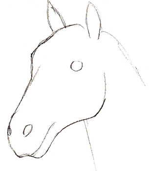 307x350 how to draw a horse drawing of a horses head in stages - Horse Head Drawing Step By Step