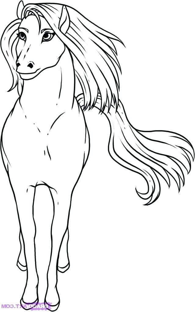 639x1024 Horse Drawing Step - Horse Head Drawing Step By Step