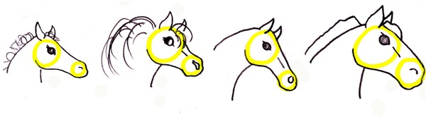 600x170 Drawing A Horse Head Step - Horse Head Drawing Step By Step