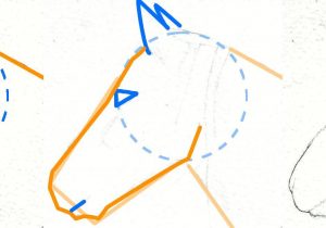 300x210 Easy Step - Horse Head Drawing Step By Step