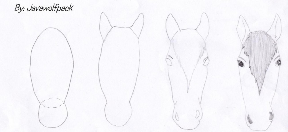 Horse Head Drawing Step By Step at PaintingValley.com | Explore