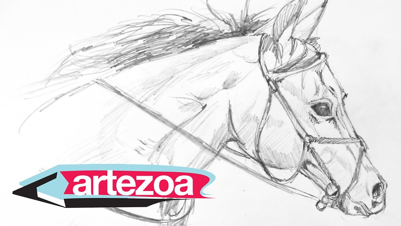 1280x720 How To Draw A Horse Head Step - Horse Head Drawing Tutorial