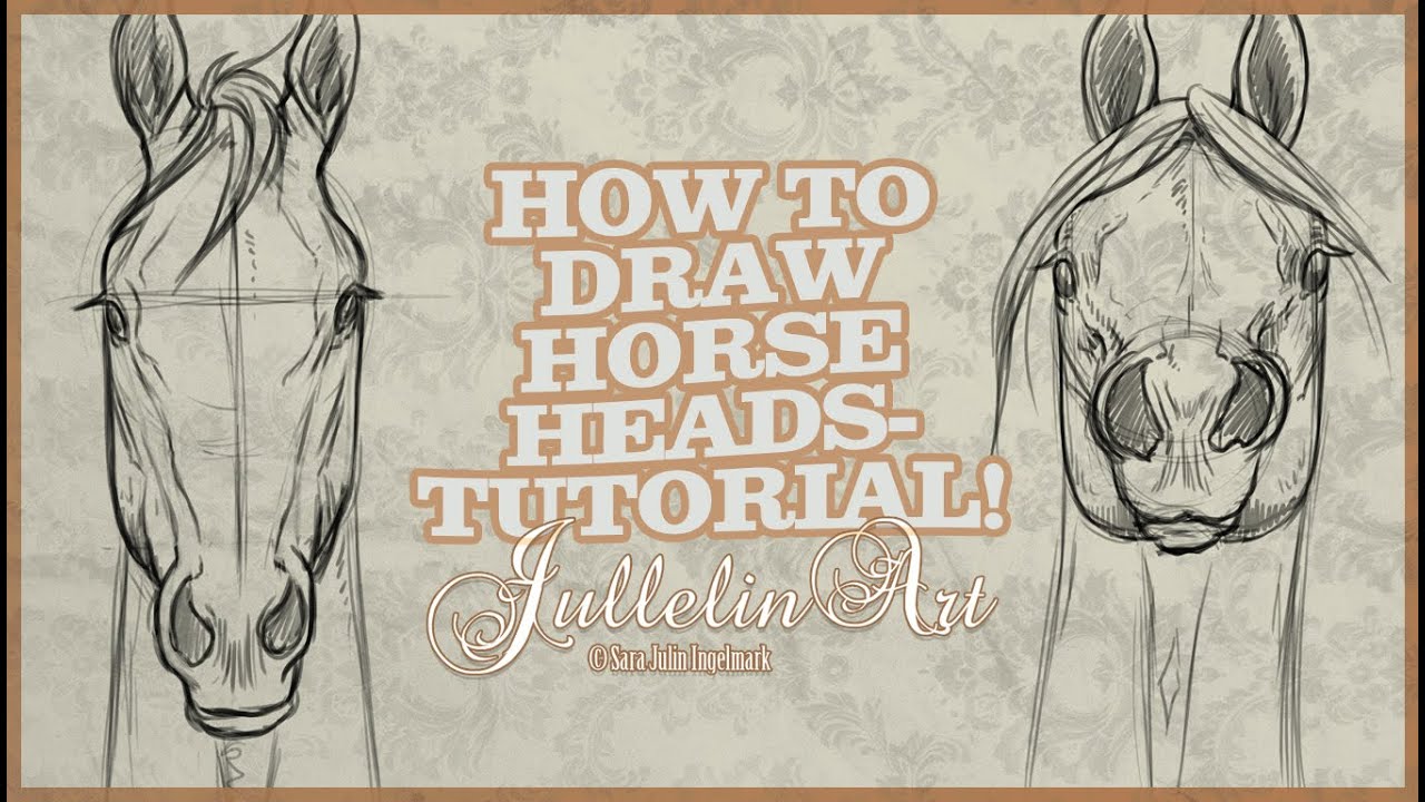 1280x720 How To Draw Horse Heads From The Front - Horse Head Drawing Tutorial