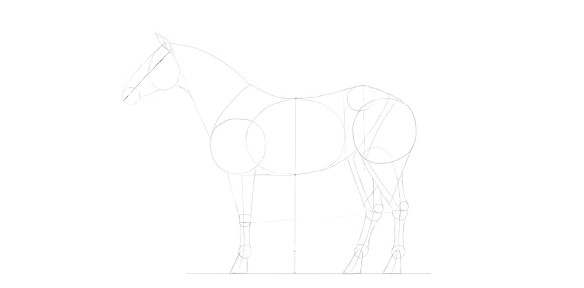 850x420 How To Draw A Horse Step - Horse Head Drawing Tutorial