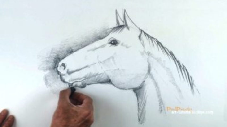 960x540 Draw Horse's Head Archives - Horse Head Drawing Tutorial