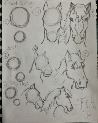 320x398 Here's A Horse Head Tutorial That Requested! I'll Be - Horse Head Drawing Tutorial