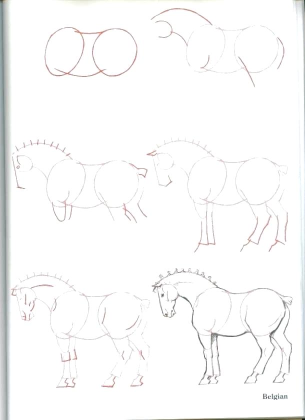 610x840 Horse Drawing Steps Drawing Horses Tutorial - Horse Head Drawing Tutorial