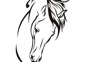 300x210 Horse Face Drawing Step - Horse Head Drawing Tutorial