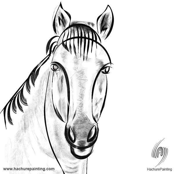 Horse Head Front View Drawing at Explore