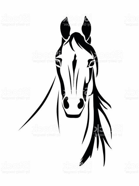 474x632 Horse Head Front View Drawing Gtgt - Horse Head Front View Drawing