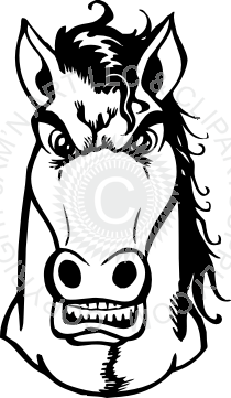 210x361 Horse Head Front View - Horse Head Front View Drawing