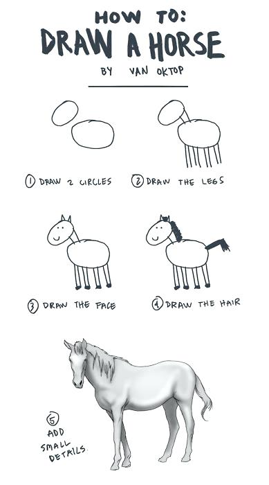 389x700 How To Draw A Horse Feat How To Draw A Horse Head Front View - Horse Head Front View Drawing