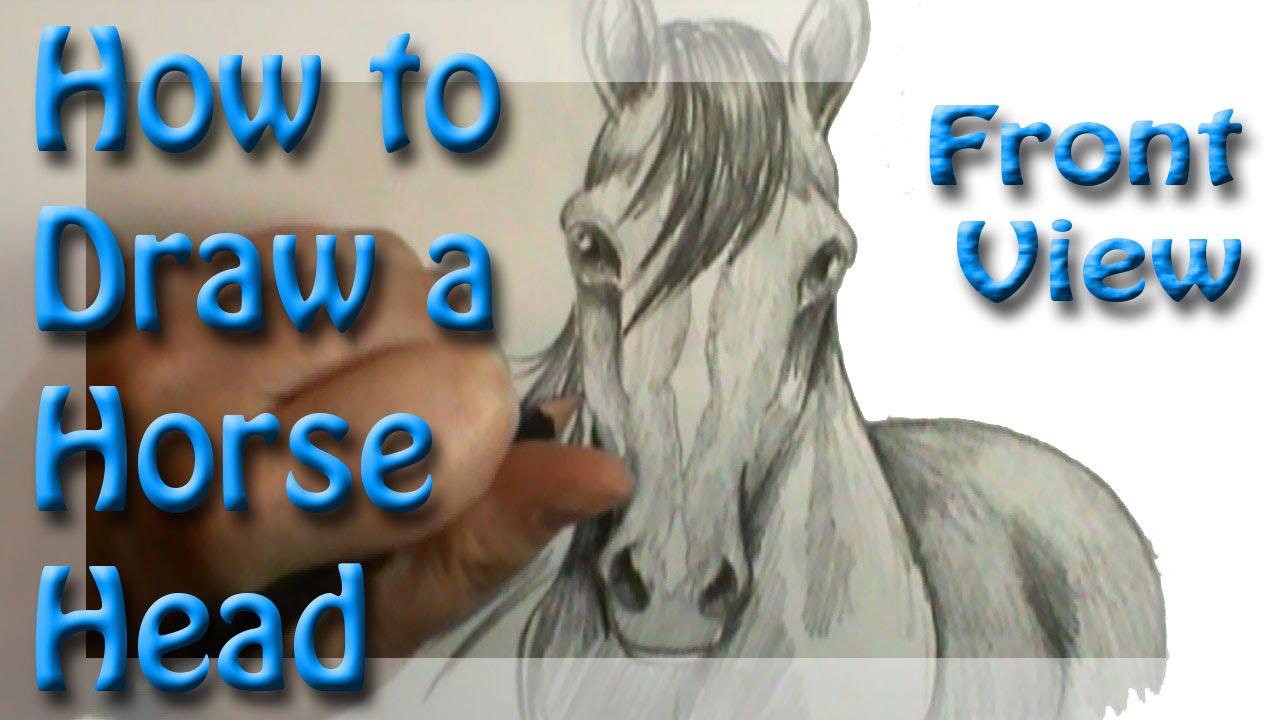 1280x720 How To Draw A Horse Head Front View - Horse Head Front View Drawing