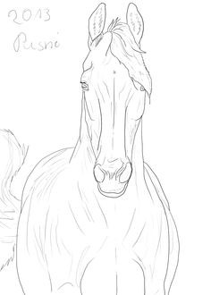 236x330 Luxury Side View Realistic Horse Coloring - Horse Head Front View Drawing