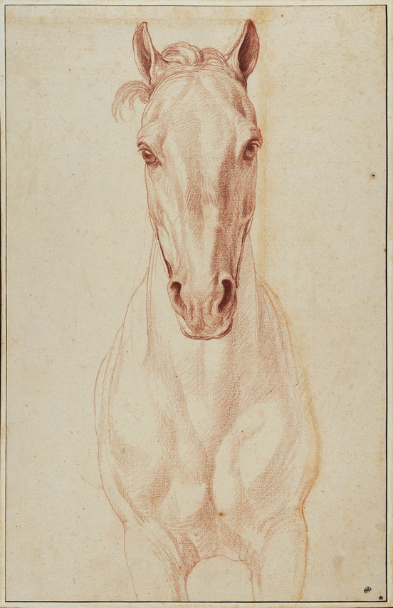 Horse Head Front View Drawing at Explore