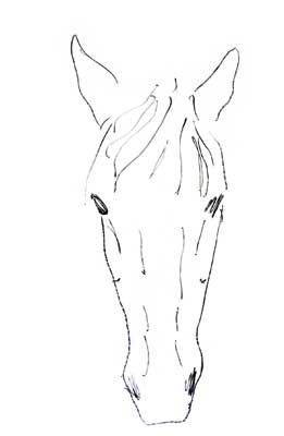 261x400 Using The Drawings In The Last Issue Make An Acetate Of The Front - Horse Head Front View Drawing