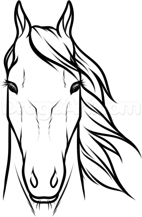 497x760 Draw Horse Heads And Faces Step Carving Drawings, Easy Horse - Horse Head Front View Drawing