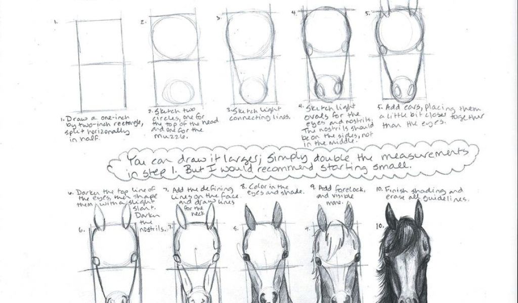 1024x600 Drawings Of Horse Eyes How To Draw A Horse Head Front View - Horse Head Front View Drawing