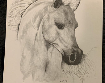 340x270 Horse Head Drawing Etsy - Horse Head Images Drawing