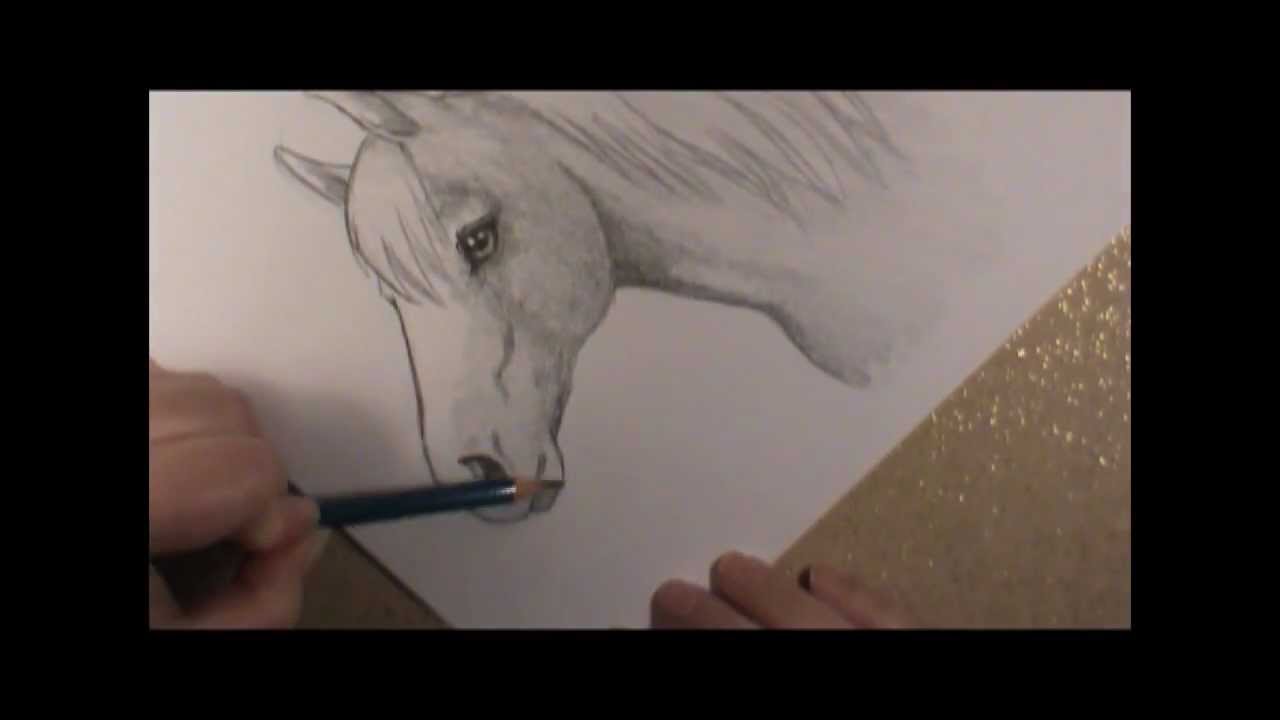 1280x720 How To Draw A Horse Head! - Horse Head Images Drawing
