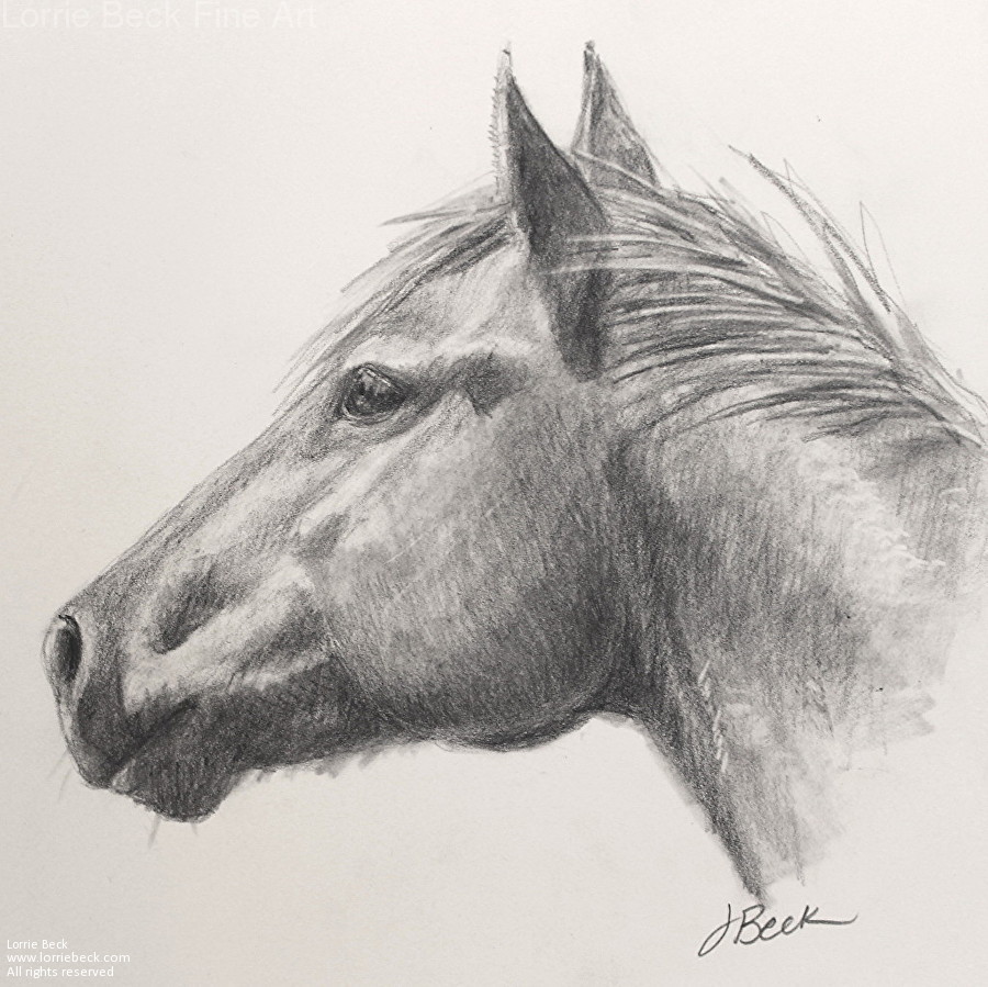 Horse Head Images Drawing at Explore collection of