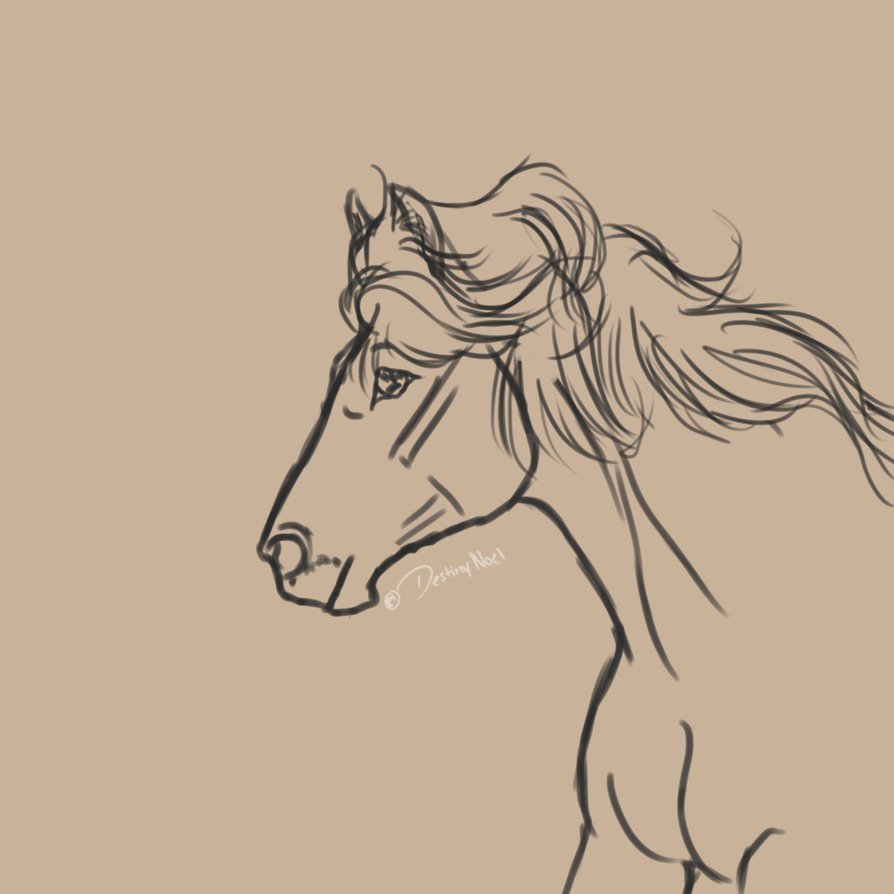 894x894 Brain Line Art Pictures And Ideas On Stem Education Caucus - Horse Head Line Drawing