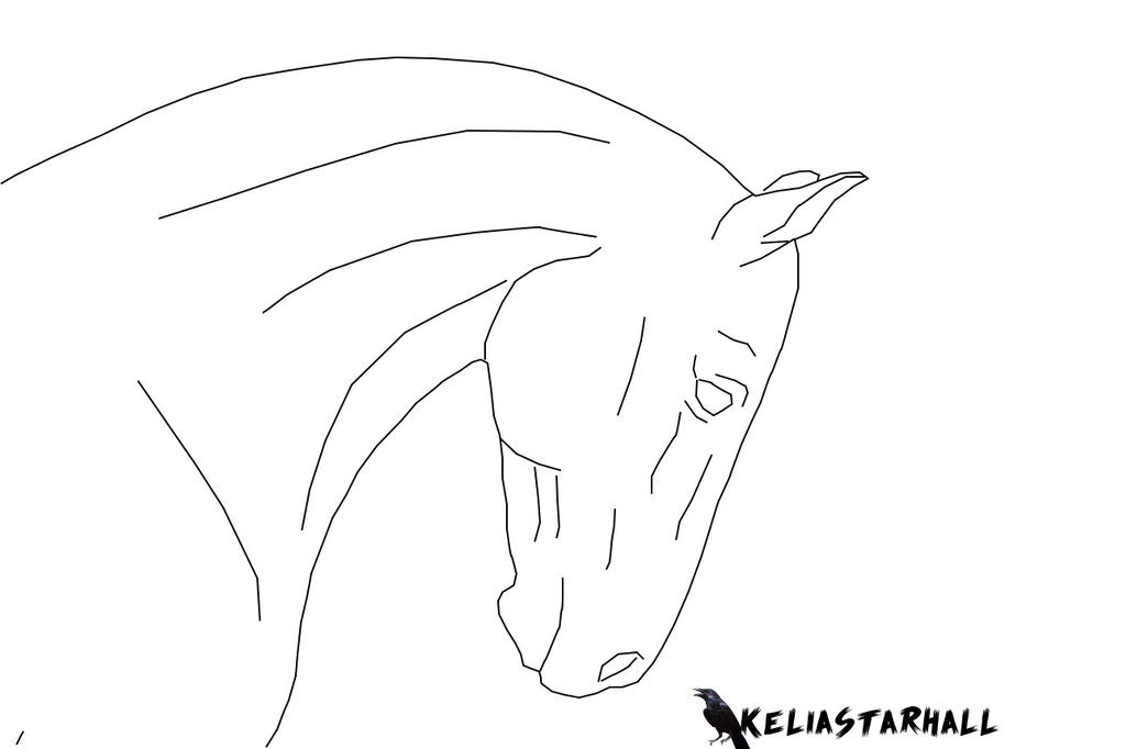 1024x682 Horse Head Line Art - Horse Head Line Drawing
