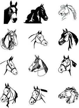 270x368 Horse Head Drawing Free Vector Download - Horse Head Line Drawing
