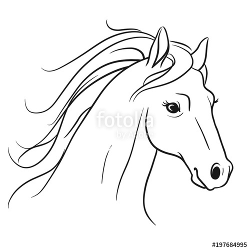 500x500 Horse Head With Flowing Mane Portrait Side View, Pen And Ink Style - Horse Head Line Drawing