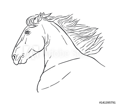 500x450 Line Drawing Of A Horse's Head On A White Background Running - Horse Head Line Drawing
