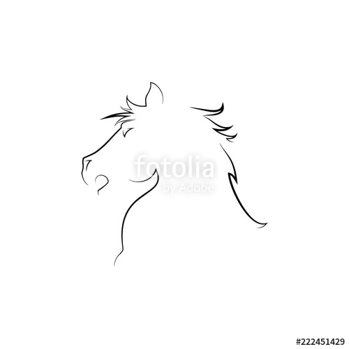 500x500 Line Drawing Of A Horse Head Isolated On A White Background Vector - Horse Head Line Drawing