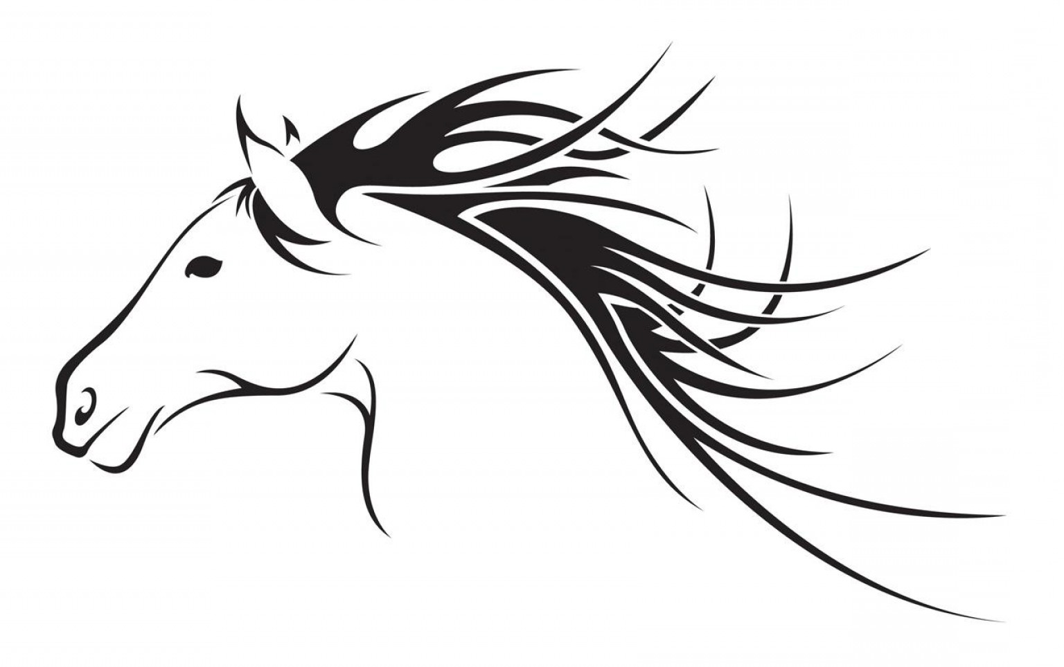 Horse Head Line Drawing at Explore collection of