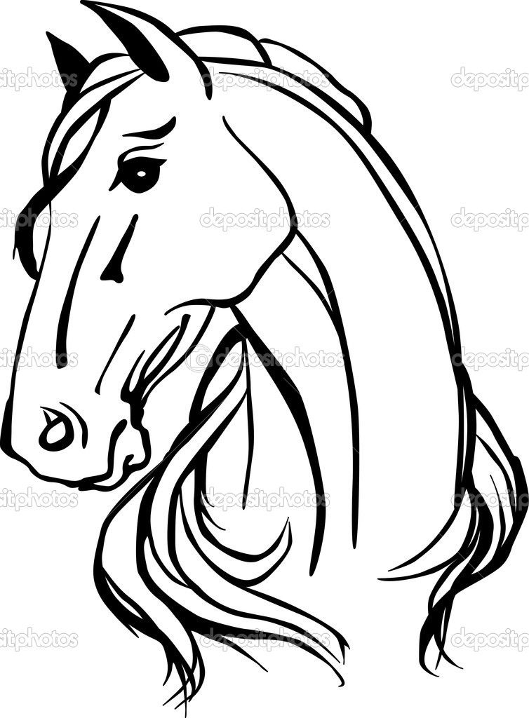 754x1024 Animals For Gt Horse Head Line Drawing Cookie Ideas Horse - Horse Head Line Drawing