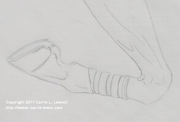 720x488 how to draw a horse hoof - Horse Hoof Drawing