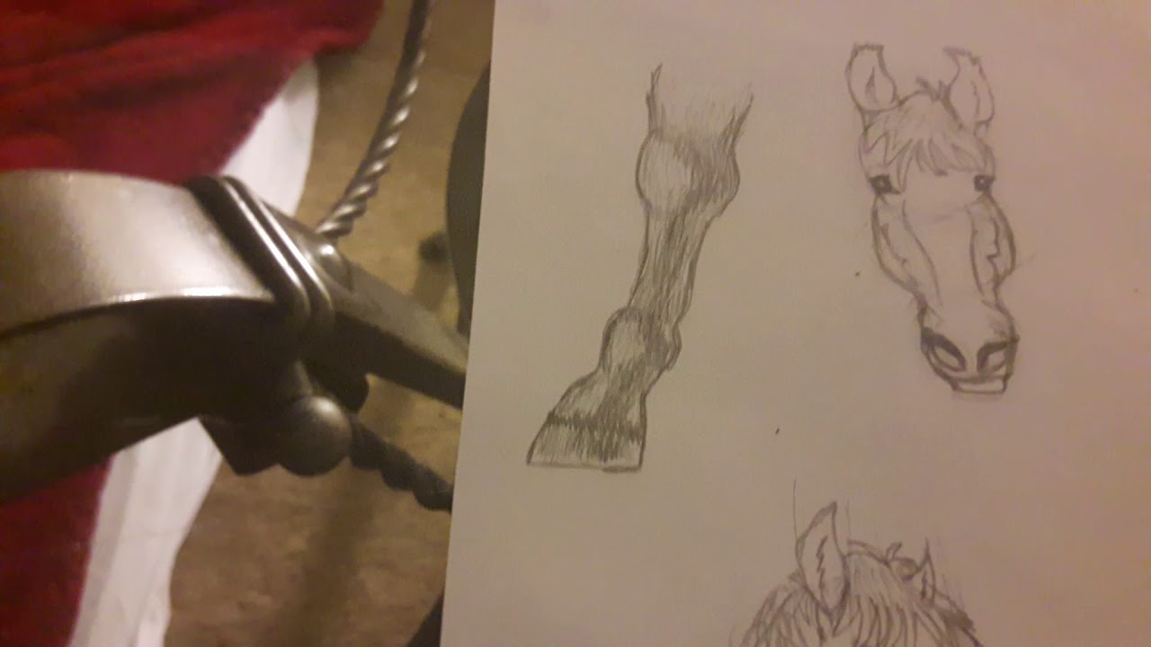 1280x720 how to draw a horse leghoof semi realistically happy new year - Horse Hoof Drawing