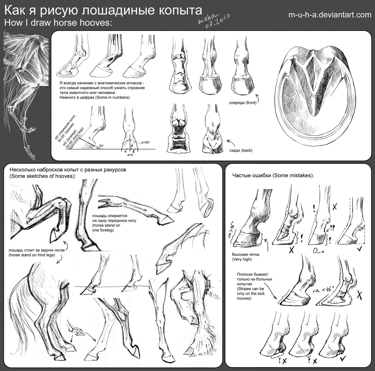 1500x1487 tutorial - Horse Hoof Drawing