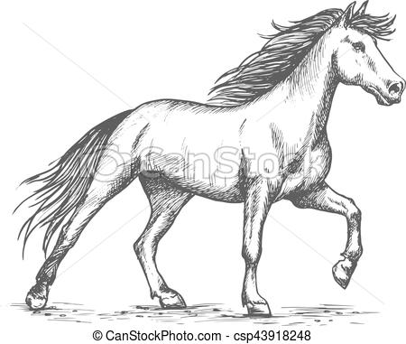 450x381 white horse stomping hoof sketch portrait slender white horse - Horse Hoof Drawing