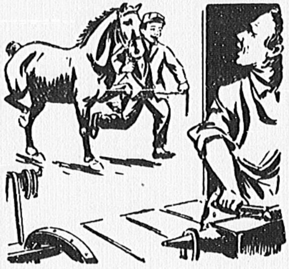 574x534 filehorse favoring his rear hoof - Horse Hoof Drawing