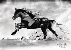 Horse Ink Drawing