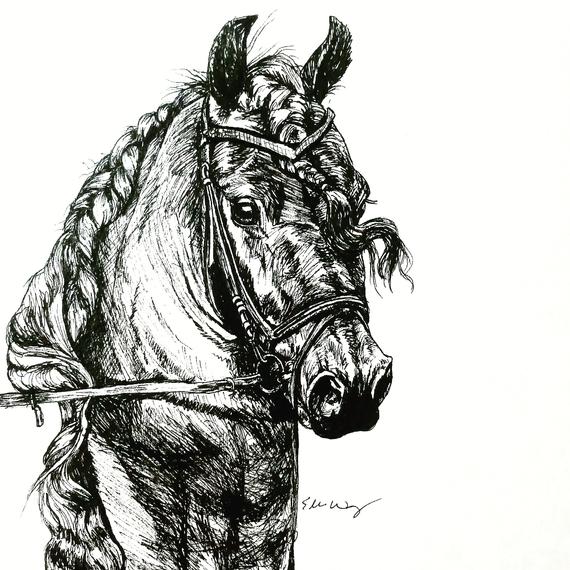 570x570 equine ink drawing friesian horse illustration dressage etsy - Horse Ink Drawing