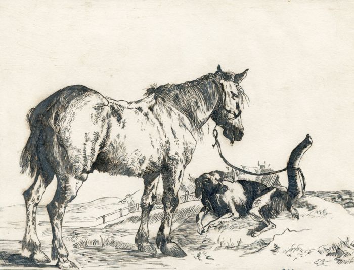 700x533 Fine Century Pen And Ink Drawing - Horse Ink Drawing
